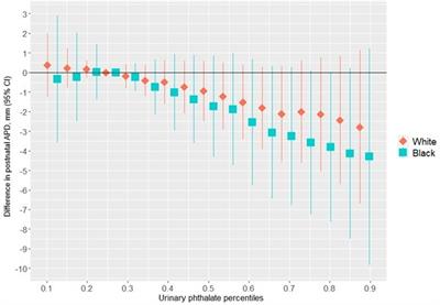 Racial disparities affect the association between gestational urinary phthalate mixtures and infant genital measures